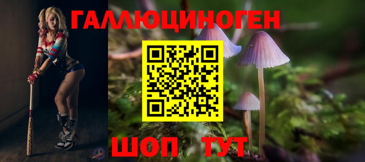 Псилоцибиновые грибы прущие грибы  Вход с VPN  Галлюциногенные грибы GOLDEN TEACHER  Волжский 