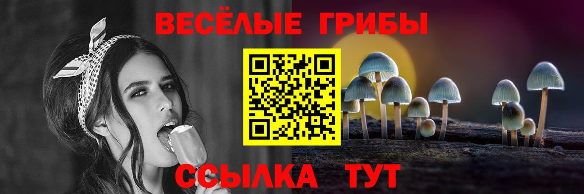 Галлюциногенные грибы прущие грибы Волжский